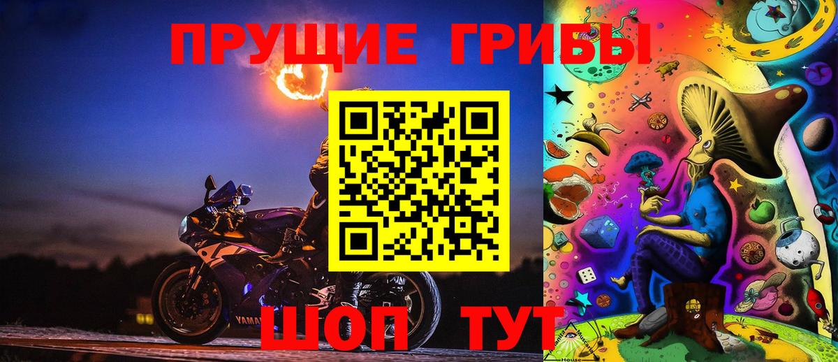 Солнечногорск  Псилоцибиновые грибы Psilocybe  Вход с VPN  Псилоцибиновые грибы прущие грибы 